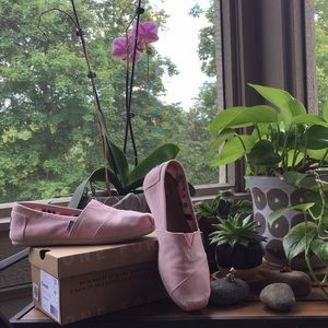 TOMS Pink Icing Canvas Shoe